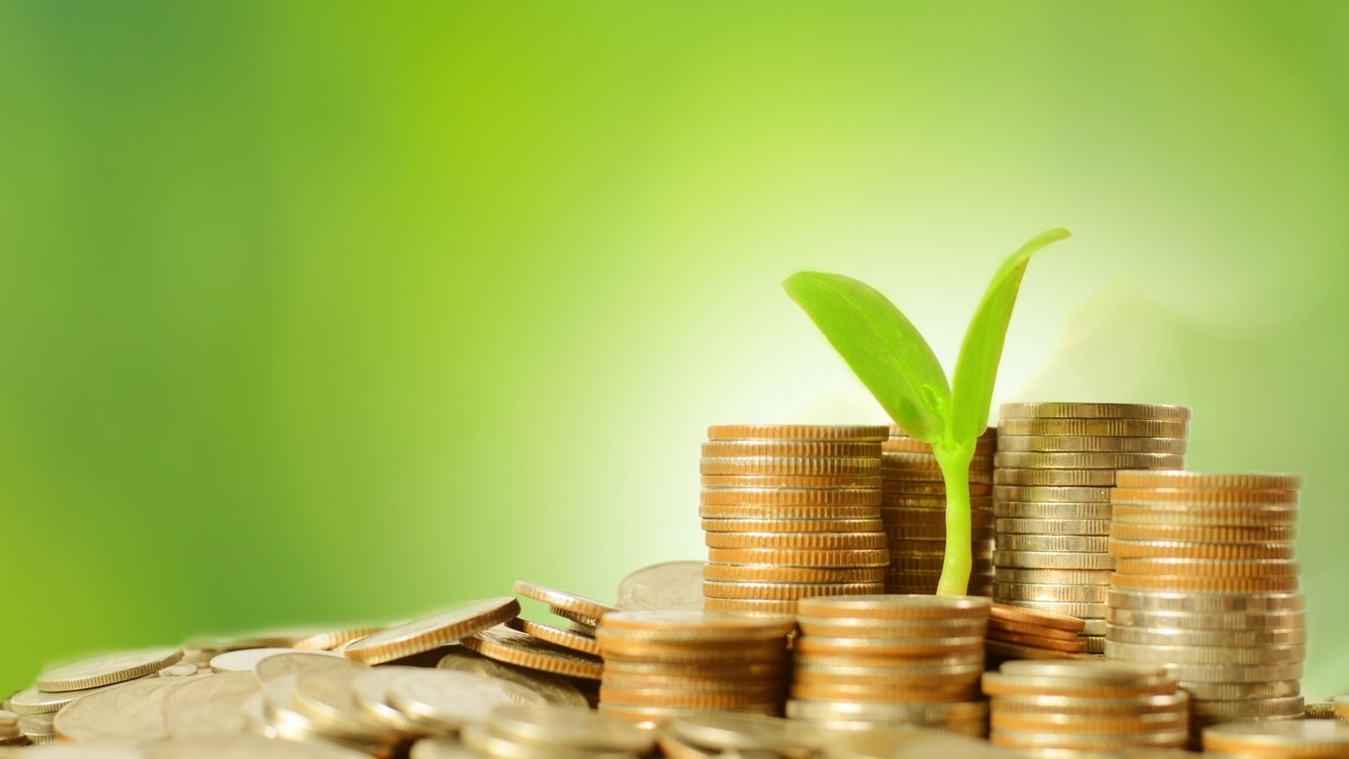 构建协同化跨省交叉巡回检察工作机制