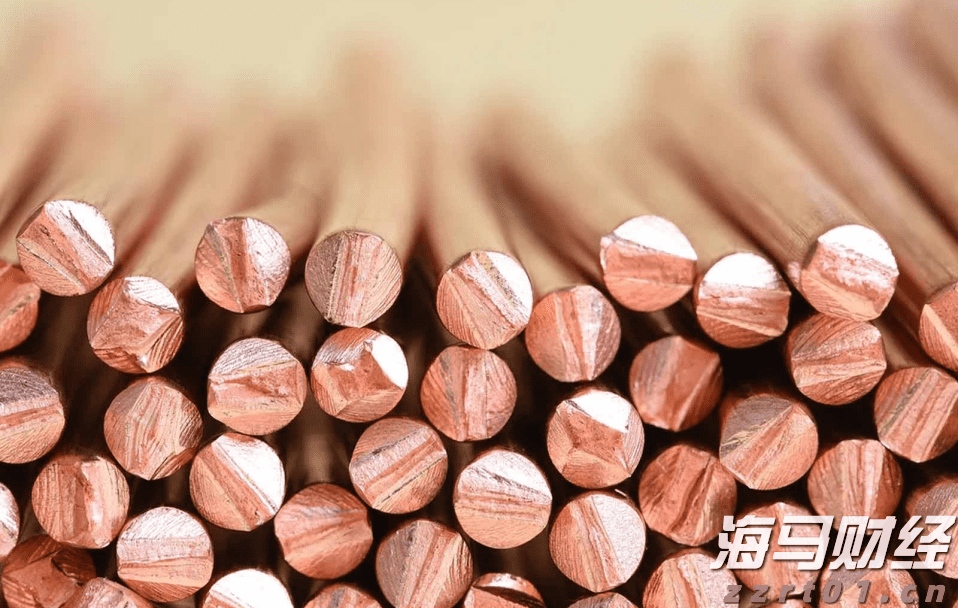 我在珠海挺好｜汪娟萍：把产业导入乡村，带动村民多种经营增产增收